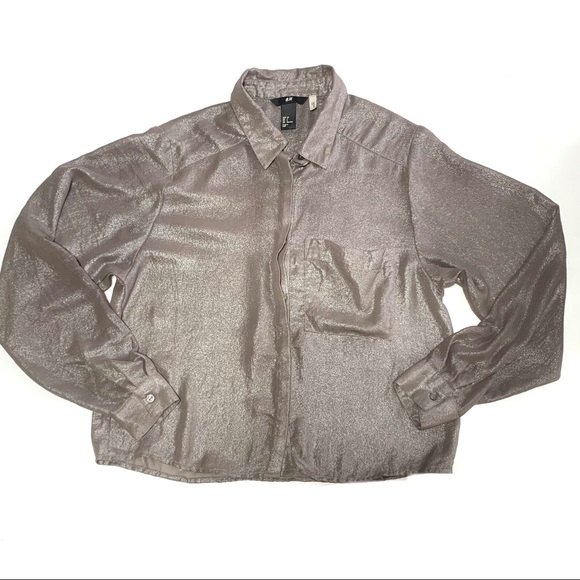2/$20 H&M Brown Gray Shimmer Button Down Long Sleeves Blouse Size 2 - Picture 3 of 8